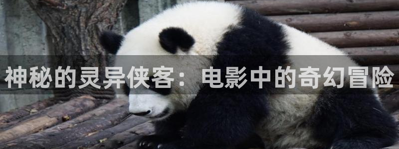 奇优影院免费观看
