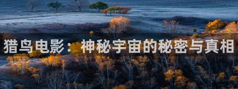奇优影院电视剧在线免费观看