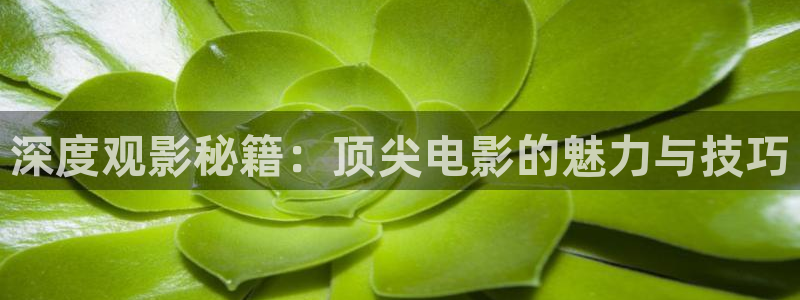 奇优影视伦理