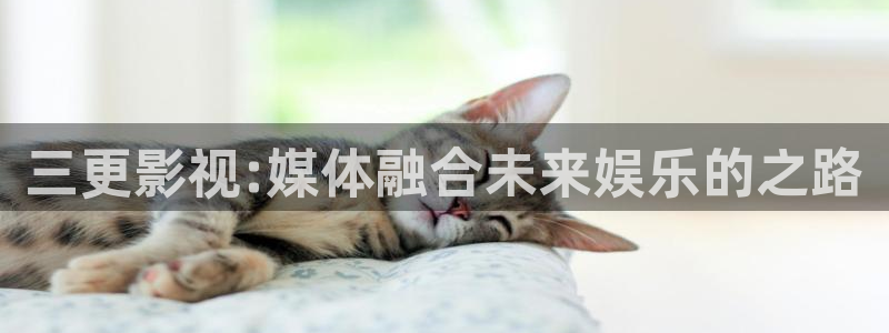 奇优影院免费看电视剧