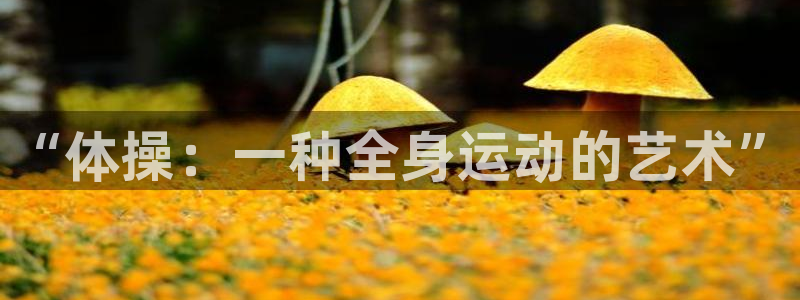 奇优影院视频