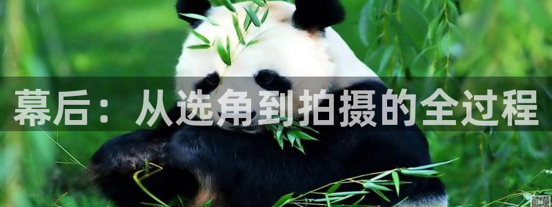 奇优影视网
