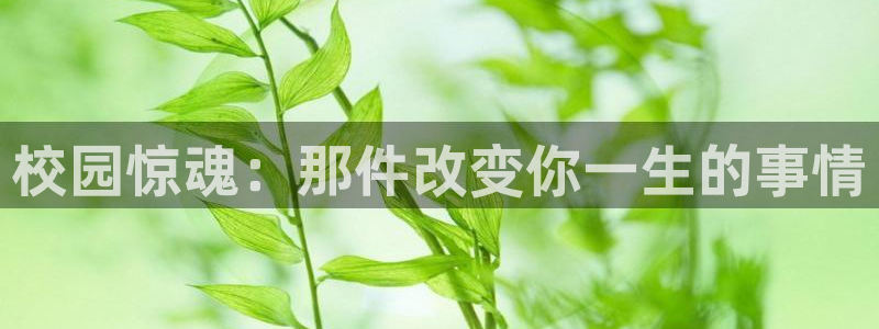 奇优影视连续剧手机版在线观看免费
