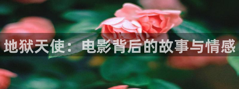 奇优影院黑狐影院yy4800