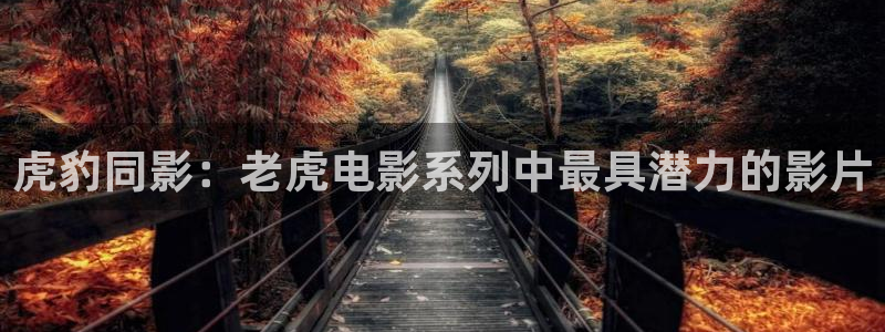 奇优影院电视剧在线看