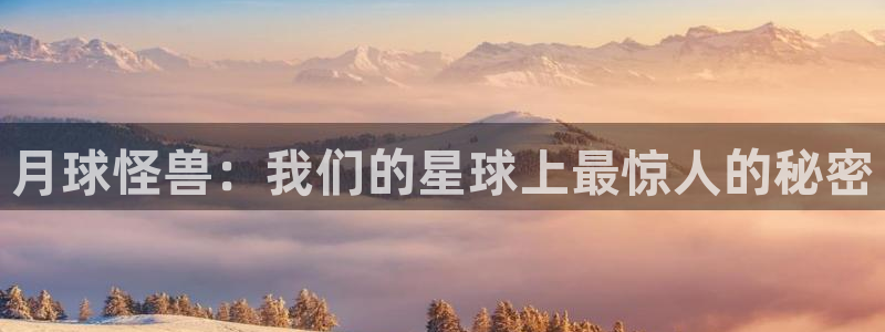 奇优影院理论
