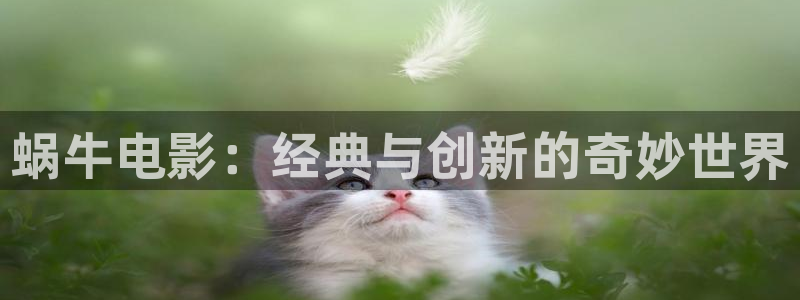 奇优影视.