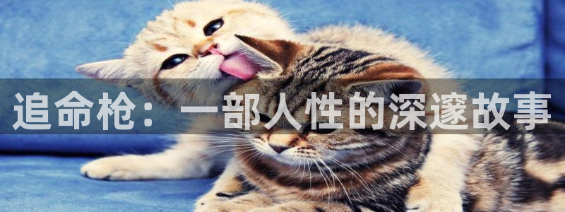 奇优影院的最新版本更新内容
