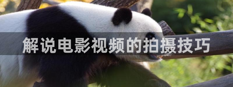 奇优影院高清版