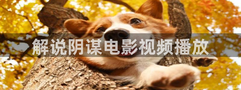 奇优影院在