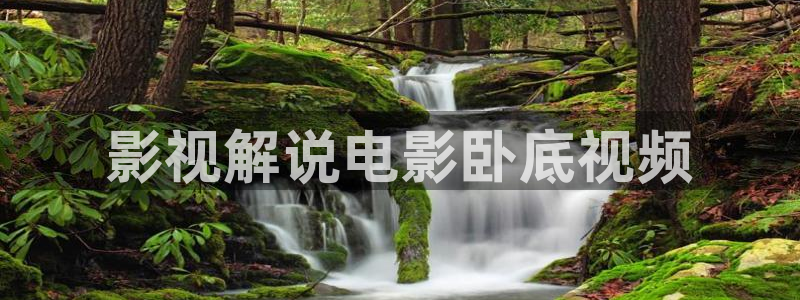 奇优影院电视剧在线看