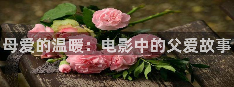 奇优影视手机版免费版下载