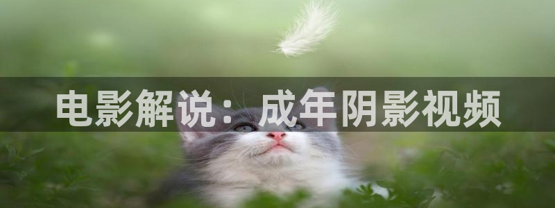 奇优影视最新版本