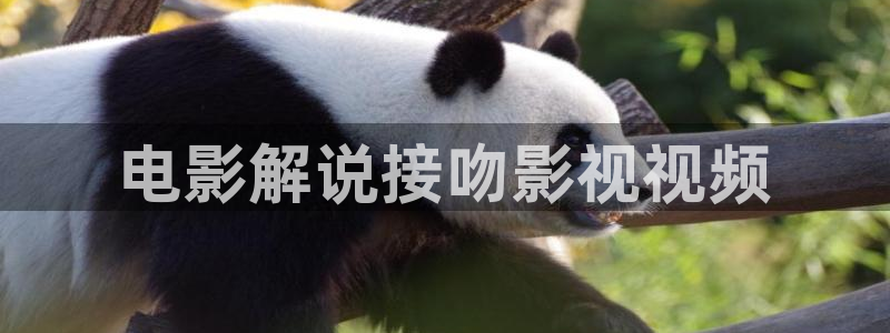 奇优影院在线观看手机