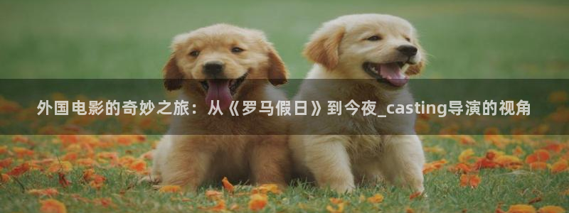 新闻图片